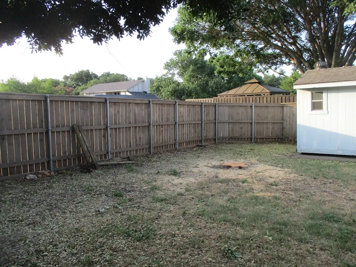 Cleared yard after professional tree removal in Shelly